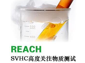 REACH是什么意思